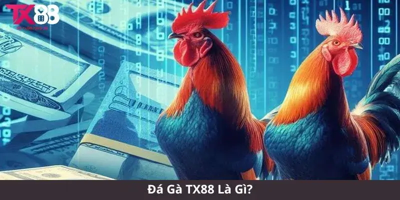 Đá Gà TX88 Là Gì?