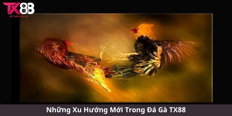 Những Xu Hướng Mới Trong Đá Gà TX88