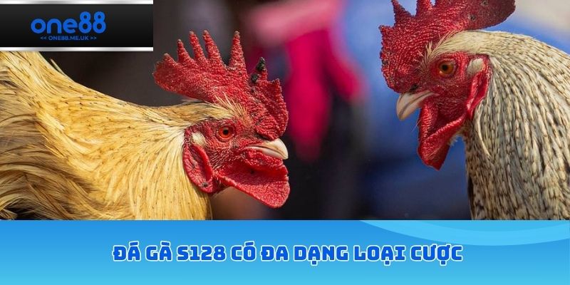 Đá gà S128 có đa dạng loại cược