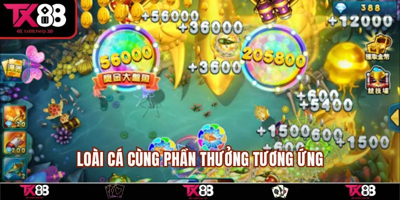 Bắn Cá Săn Vàng - Game Săn Thưởng Hot Nhất Hiện Nay 2 Loài cá cùng phần thưởng tương ứng